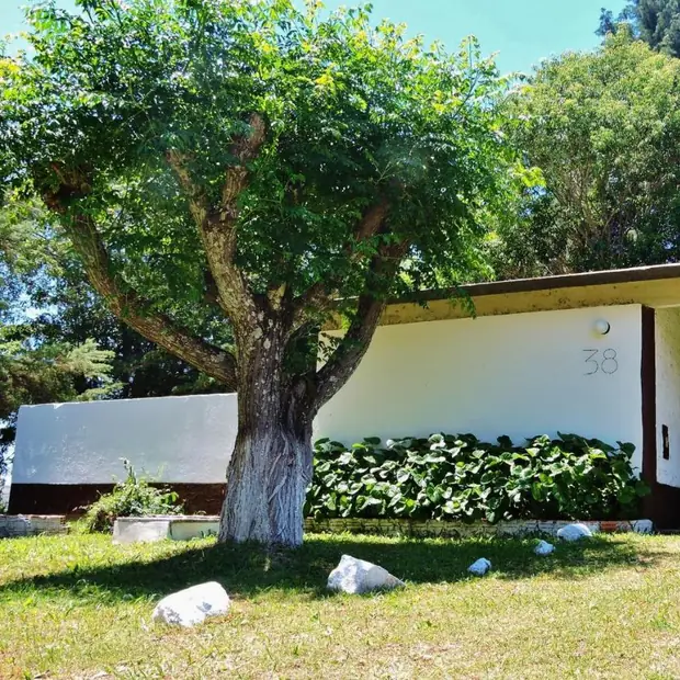 Chalé com árvore e jardim na frente